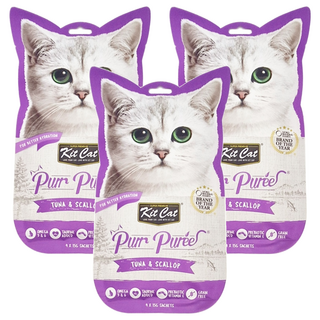 Kit Cat 呼嚕嚕肉泥, 鮪魚 + 扇貝, 60g, 3袋