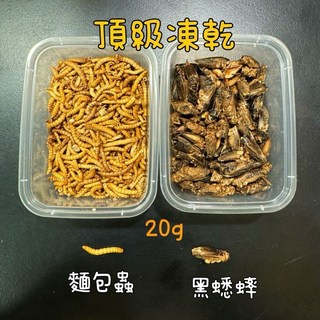 慢慢爬 頂級凍乾黑蟋蟀麵包蟲顆粒飼料:守宮、蜥蜴、澤龜等爬蟲零食及飼料首選, 1個, 黑蟋蟀凍乾20g