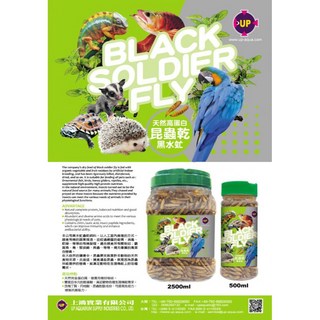 雅柏UP 黑水虻蟲乾 天然高蛋白蟲乾 魚鳥爬蟲寵物飼料 (現貨速發), 1個, 有效期限2023/10/02