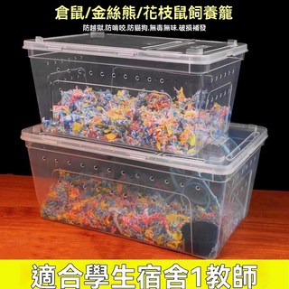 倉鼠籠子 飼養盒 豪華別墅 金絲熊專用 超大飼養箱 小房子 寵物用品 倉鼠窩 老鼠籠, 1個, 【34cm特大號白】雙開多孔防逃飼養盒+,【鼠糧400g+木屑+尿沙200g+磨牙