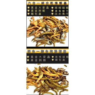 動力水族 四合一六合一綜合乾燥蝦蟲 南極蝦 鉤蝦 麵包蟲 大麥蟲 烏龜飼料 水龜 澤龜 兩棲爬蟲 蜜袋鼯 刺蝟 倉鼠, 1個, 精緻五合一烏龜主食,1000ml