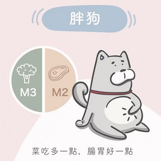 阿寶 Abao M系列寵物拌飯犬糧 5.25公斤 7包組 無穀狗飼料 護膚亮毛 關節腸胃保健, 1個, 胖胖狗(肉3+菜4)