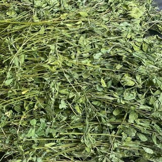 家畜苜蓿草飼料,500克,高纖維助消化,促進健康成長, 1個