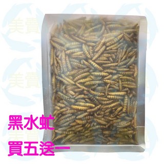 黑水虻蟲乾 鳳凰蟲 蜜袋鼯 刺蝟 松鼠 老鼠 食蟲 倉鼠 鼬鼠 鬆獅蜥 柯爾鴨 龍魚 雞 鴨 水龜 烏龜 蜥蜴, 1個, 黑水虻 100克包裝 買五送一