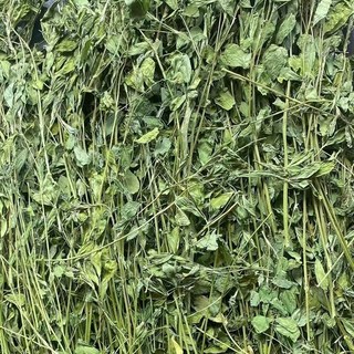 苜蓿牧草飼料 高纖維 易消化 提升牲畜活力 1公斤裝, 1個