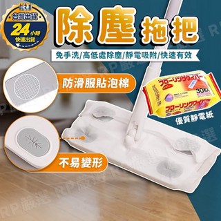 靜電拖把 乾濕兩用 除塵吸塵拖把, 1個, (靜電除塵拖把(無除塵紙))
