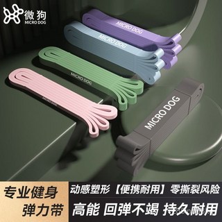 專業級彈力帶 健身阻力帶 引體向上輔助帶 塑形翹臀圈 瑜珈拉力帶, 耀炫橙, 9kg/20磅 童趣版 顏色驚喜隨單贈, 1個