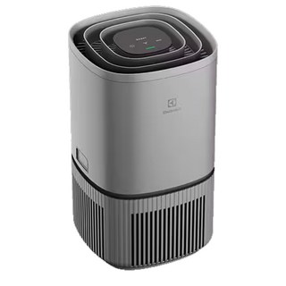 Electrolux 伊萊克斯 極適家居300 抗敏空氣清淨機 8坪空間 兩年保固, 沉穩灰(EP32-27UGA)