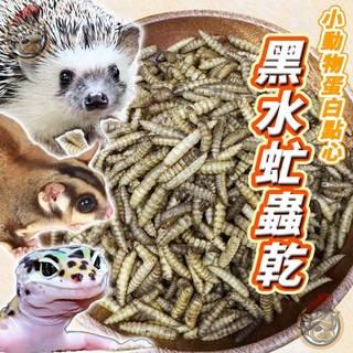 黑水虻蟲乾 乾燥蟲乾 小寵零食 倉鼠 蜜袋鼅 刺蝟 烏龜 爬蟲類 觀賞魚點心, 1個, dw-02黑水虻蟲乾【分裝25g】