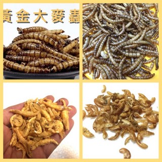 倉鼠飼料 鼠飼料 乾燥大麥蟲 麵包蟲乾 適用於蜜袋鼯的倉鼠營養補充品, 1個, 黃金鉤蝦2000ml