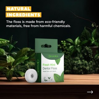 Nordics Dental Floss Mint 薄荷牙線,清新口氣,有效清潔牙縫,預防蛀牙, 1個