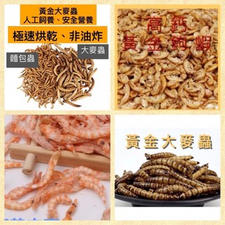 蠅蛆倉鼠飼料 楓葉鼠飼料 黑水虻 乾燥麵包蟲 乾燥大麥蟲 乾燥南極蝦 蜜袋鼯 刺蝟 貂 烏龜適用, 1個, 河蝦乾100g