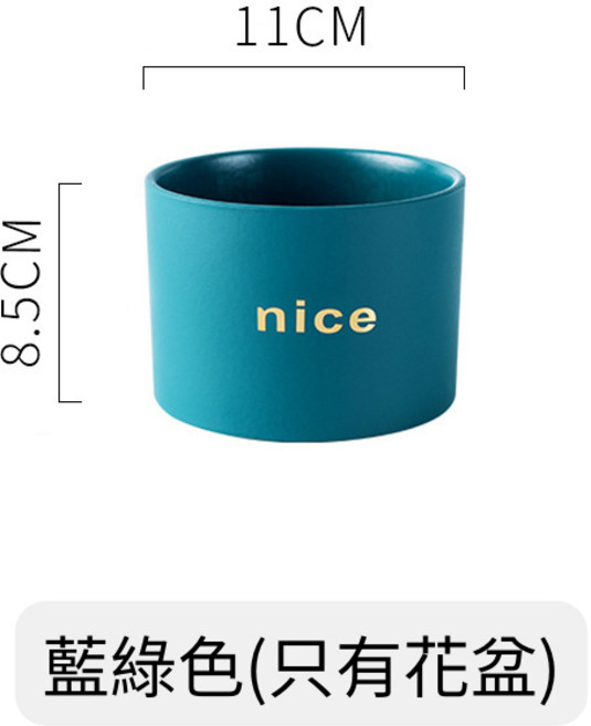 nice 多肉小花盆, 藍綠色, 1個