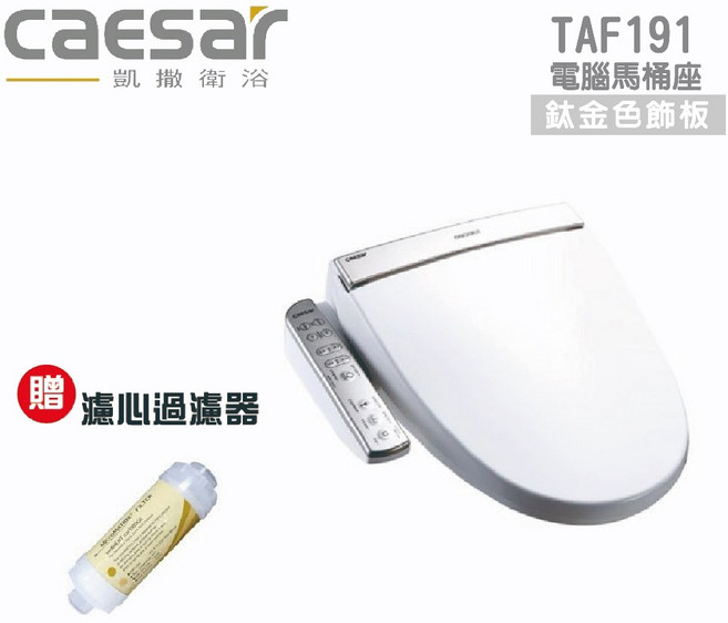 凱撒衛浴 電腦馬桶座 智能溫水沖洗 暖風烘乾 贈濾心, TAF191, 單純送貨商品