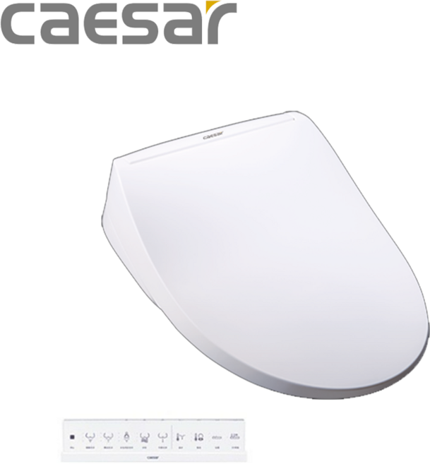 CAESAR凱薩 瞬熱式電腦馬桶座 TAF220, 單純送貨商品