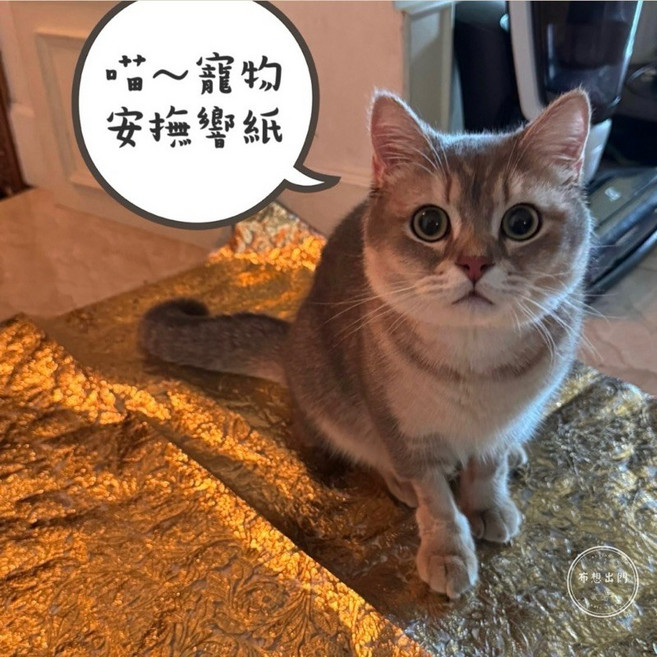 寵物安撫響紙, 碼