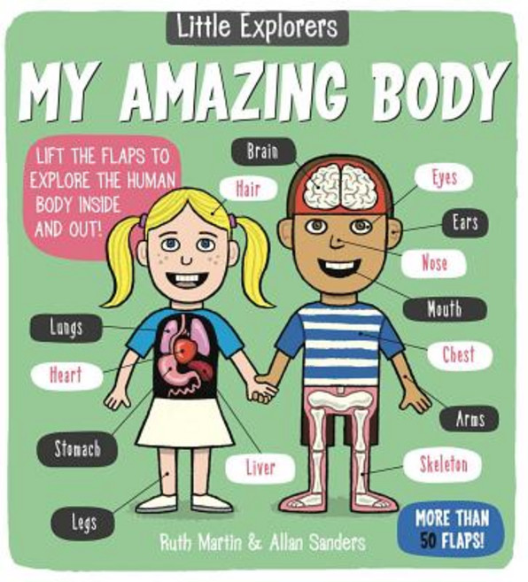 (英文圖書)Little Explorers: My Amazing Body Board Books, Little Bee Books, 英文, 硬頁書