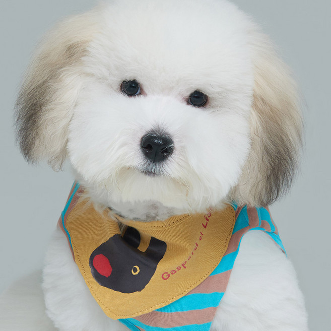 Gaspard et Lisa 卡斯柏和麗莎 寵物領巾, 黃色, 1個