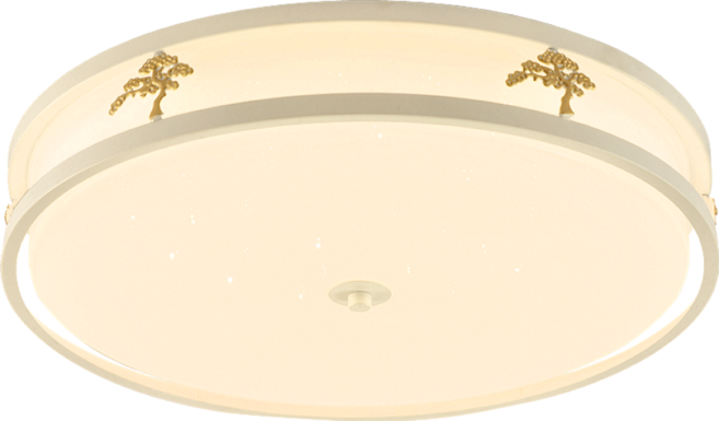 Camida 卡米達 艾斯 LED 54W 調色吸頂燈臥室吸頂燈 .54W, 白色