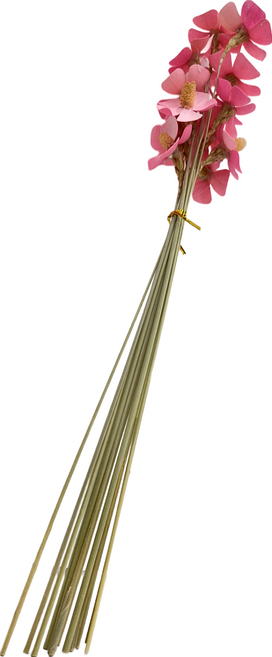 紫羅蘭 粉色 乾燥花 Set 12支 裝飾花 居家裝飾