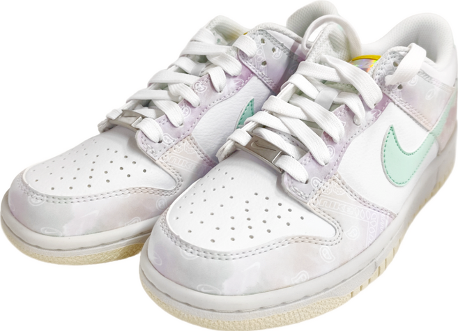 NIKE 耐吉 Dunk Low GS 低筒雲彩渲染變形蟲奶油底皮革 運動鞋 FJ7707-131 4.5Y