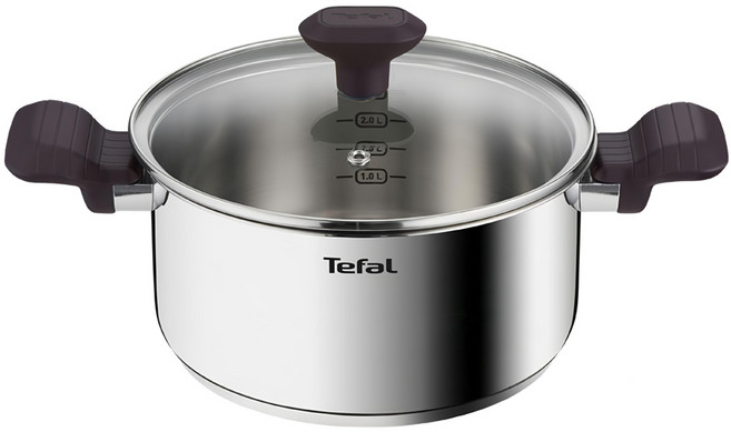Tefal 特福 Tasty Cook 電磁爐適用不鏽鋼雙耳鍋, 20cm, 銀色, 1組