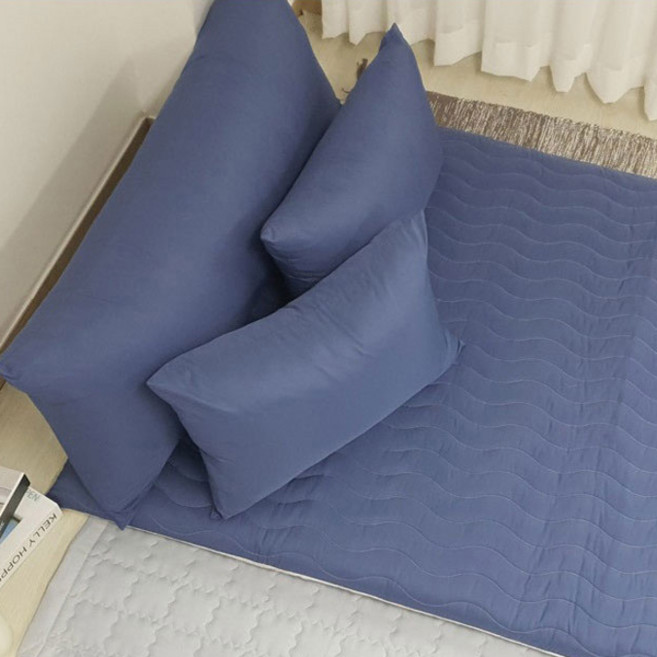 Allery Care系列防蟎絎縫睡墊套, Care blue