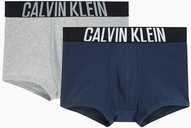 Calvin Klein 凱文克萊 underwear-關閉 男士 Intense Power 棉質四角內褲 2件組 NB2602O
