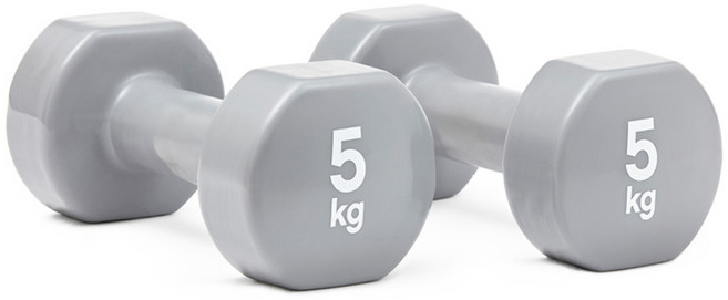 Reebok 銳步 訓練啞鈴 RAWT-18005, 5kg, 2個