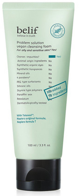 빌리프 프라블럼 솔루션 비건 클렌징 폼, 100ml, 1개