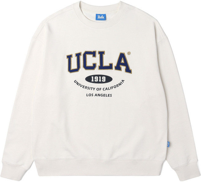 UCLA 印花刺繡拼接寬鬆毛圈大學T UA3LT82
