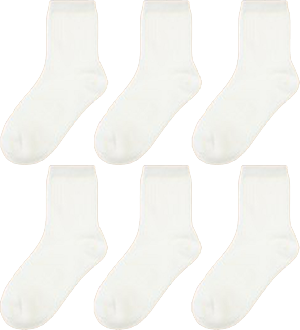 BASE ALPHA ESSENTIALS 兒童素色中筒襪6件組