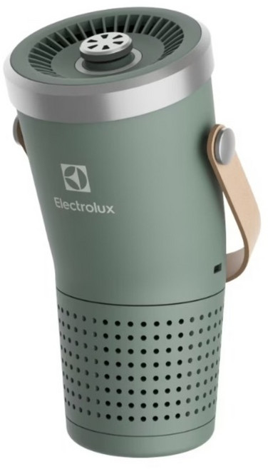 Electrolux 伊萊克斯 個人與車用輕巧空氣清淨機, EP31-15GRA, 海洋綠