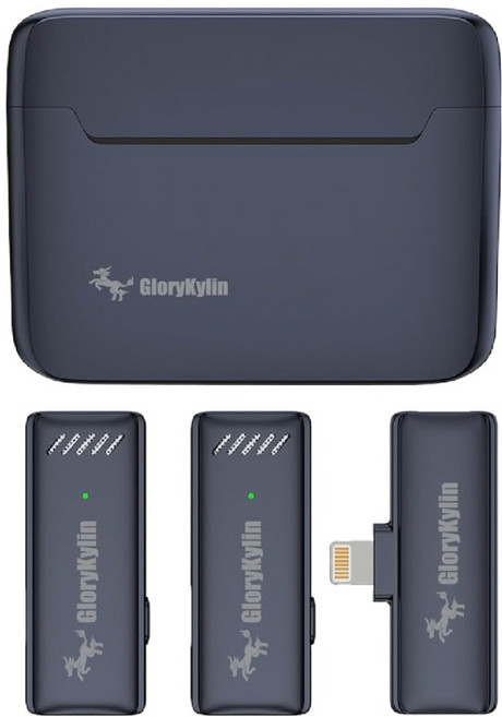 GloryKylin 耀麟國際 全指向型手機用1對2領夾式收音麥克風 蘋果Lightning接口 即插即用 直播/錄影, 黑色, GKI-2MIC-LIGHTNING