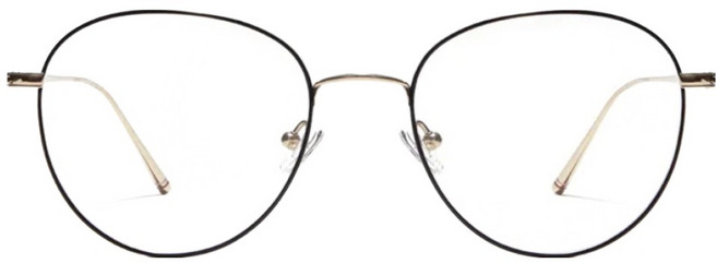 CARIN 波士頓圓框光學眼鏡 ARNE C2