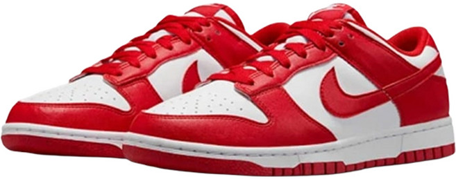NIKE 耐吉 女款 DUNK LOW NEXT NATURE 運動休閒鞋 DD1873-116