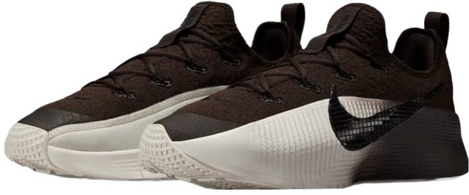 NIKE 耐吉 男款 LEBRON TR 1 運動鞋 FJ6151-201