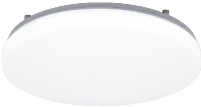 WONHA Paulson Air 圓形房間燈 吸頂燈 可調光 LED 50W 照明 + 遙控器套組, 無頻閃 白色 + 晝光色(照明)
