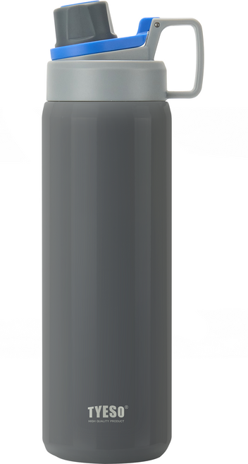 TYESO 泰碩 304不鏽鋼幻彩系列運動保溫水壺, 高級灰, 900ml, 1個