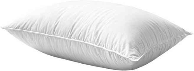 Semeur De Bed 紳娜多家居 頂級飯店水鳥羽毛絨枕 72 x 48 x 18cm 白色 1件