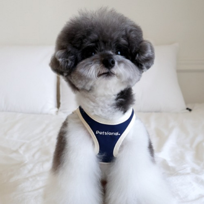 PETSLAND 狗狗 Hug Me 胸背帶
