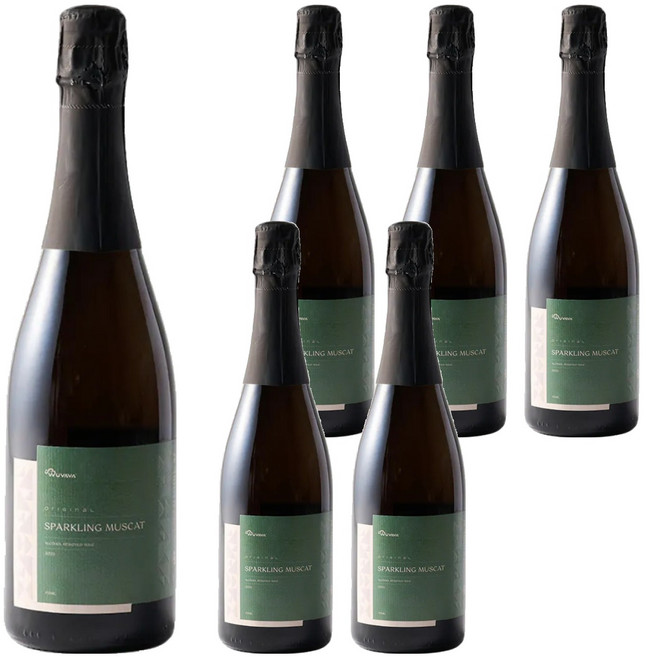 WUVAVA 發酵無酒精氣泡酒風味飲 SPARKLING MUSCAT 星空, 6個, 750ml