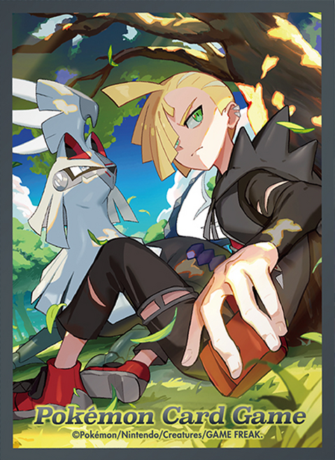 PoKeMoN 寶可夢 造型卡套 銀伴戰獸&格拉吉歐 9420462, 1個