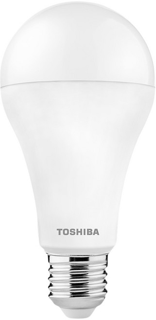 TOSHIBA 東芝 澄系列 LED燈泡 15.8W, 6500K 晝光色, 1個