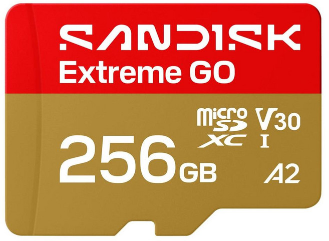 SanDisk 晟碟 Extreme GO microSD 記憶卡 SDSQXGN-256G-GN6MN, 1個, 256GB