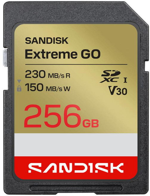 SanDisk 晟碟 Extreme GO SD UHS-I 記憶卡 SDSDXGN-256G-GNCIN, 1個, 256GB