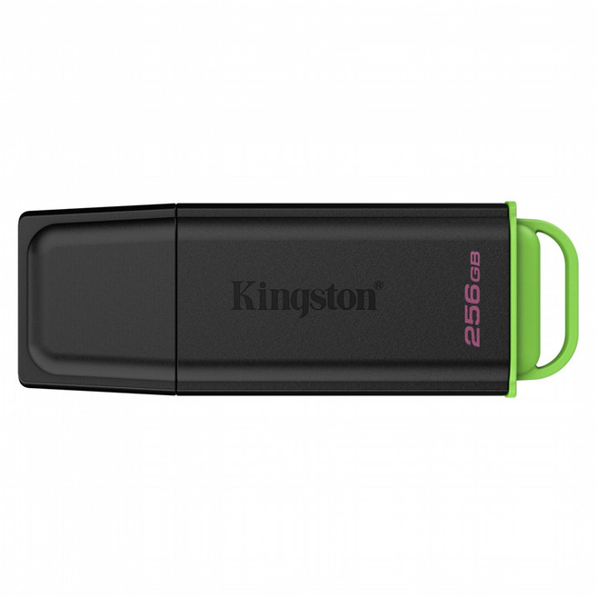 Kingston 金士頓 DataTraveler Exodia USB 3.2 隨身碟 DTXG2, 1個, 256GB
