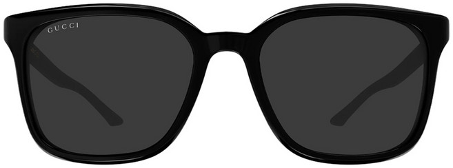 GUCCI 古馳 eyewear 太陽眼鏡 GG2080SK 001