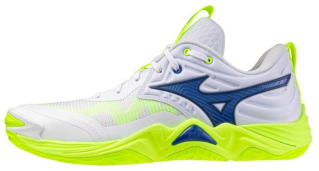 Mizuno 美津濃 WAVE MOMENTUM ELITE 排球鞋 V1GA251239