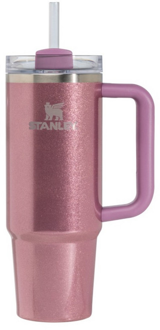 STANLEY 冒險系列 吸管隨手杯2.0, 星辰紫, 1個, 880ml